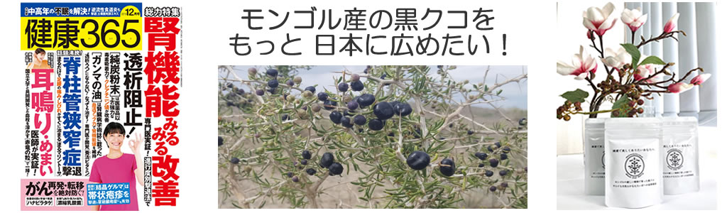 モンゴル産の黒クコは抗酸化物質が豊富に含まれている